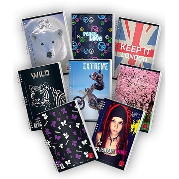 Caiet arc A4 studentesc 80 file Pigna Clasic