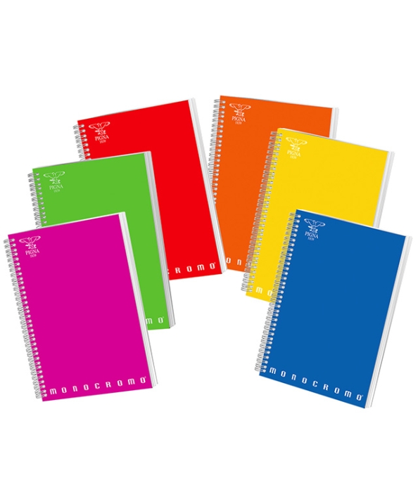 Caiet arc A4 studentesc 100 file Monocromo Pigna Matematica