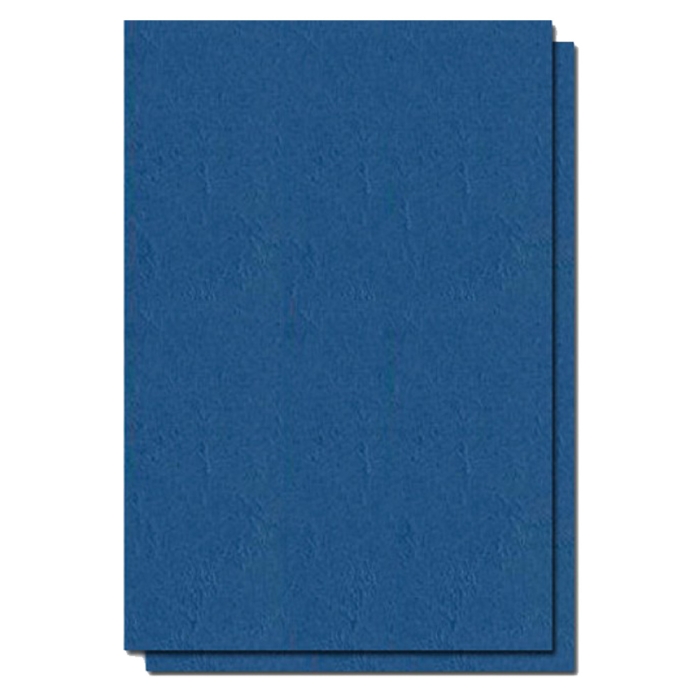 Coperta carton A4 imitatie piele Colorat 250 g/mp