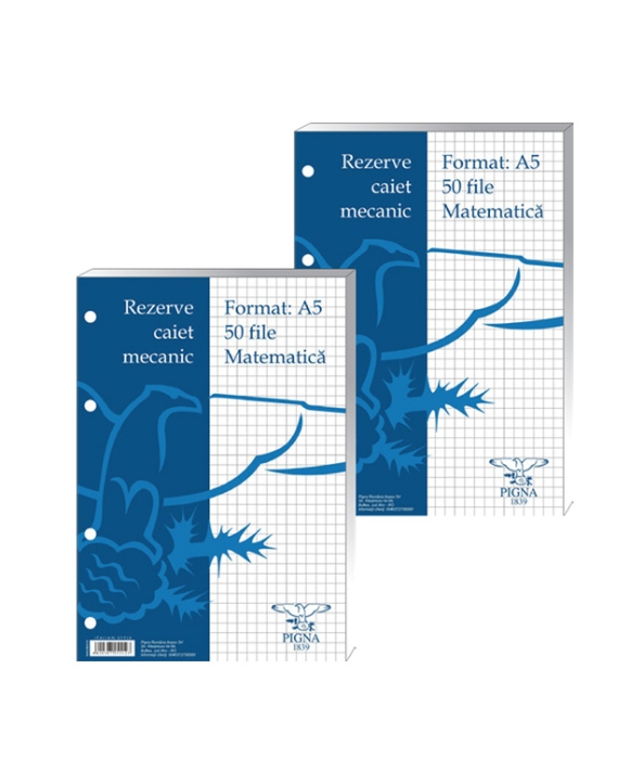 Rezerva caiet mecanic A4 matematica