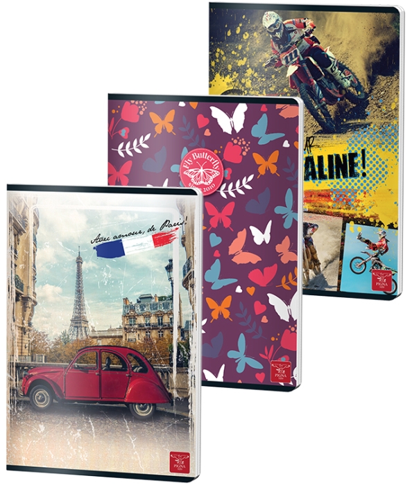 Caiet A4 studentesc 48 file Pigna Clasic