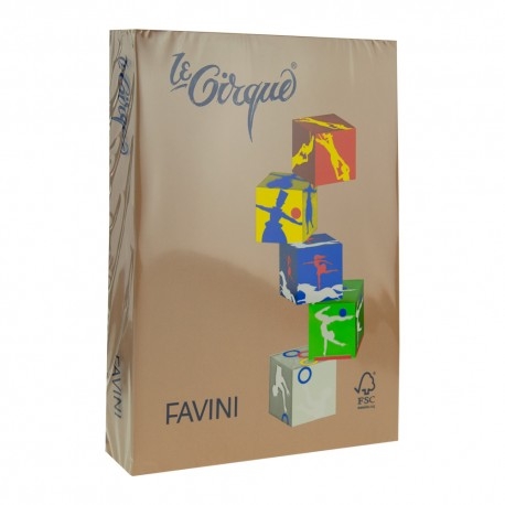 Carton A4 Maro piele 250 coli/top 160 g/mp Favini 300