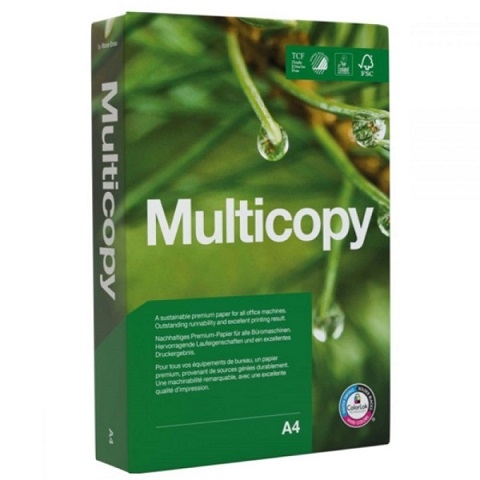 Carton A4 160 g/mp Multicopy 250 coli/top