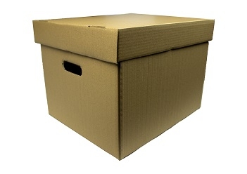 Contaiener arhivare bibliorafturi 400x335x290 capac detasabil