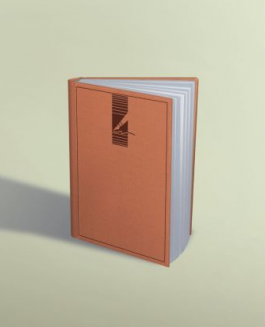 Agenda nedatata A6 352 pagini Orange