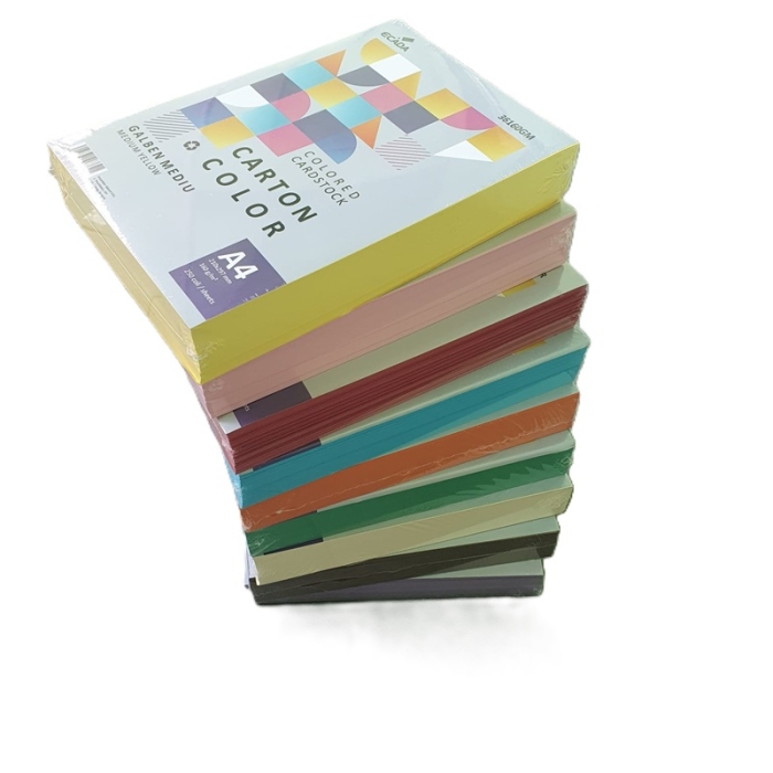 Carton A4 Roz 250 coli/top 160 g/mp Ecada