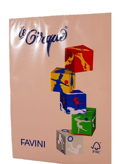 Carton A4 Somon 250 coli/top FAVINI 103